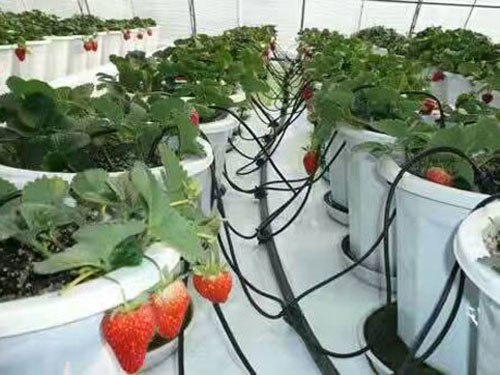 滴灌設(shè)備使用注意事項(xiàng)